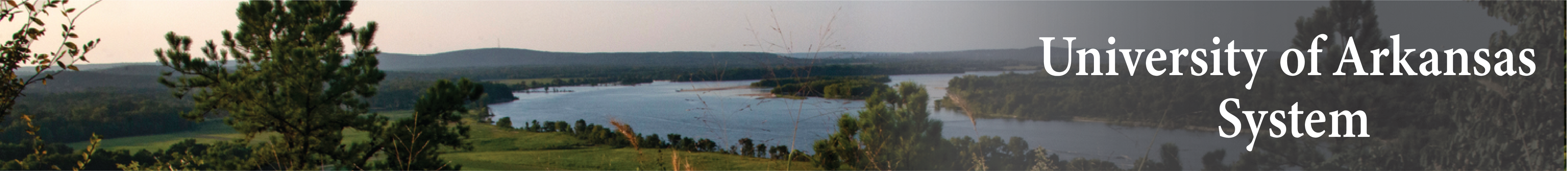 University of Arkansas